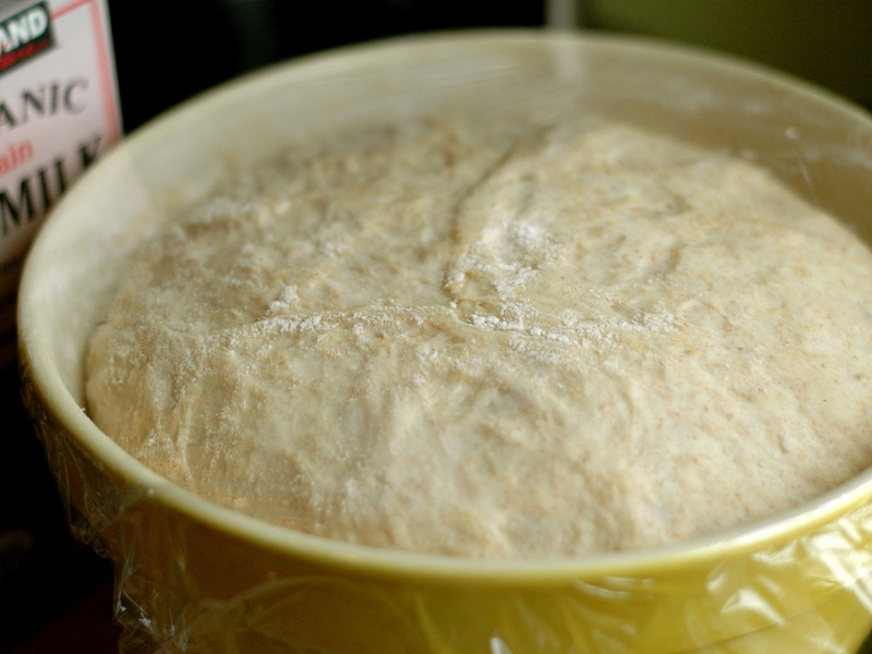Does Sugar Help Bread Yeast Grow?