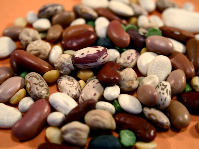 About Heirloom Dry Beans with a Recipe